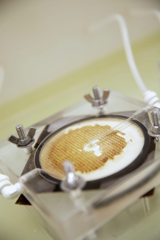 Avista Cell Test Cleaning Study Avista Membrane Treatment Solutions