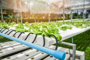 agricultural water treatment