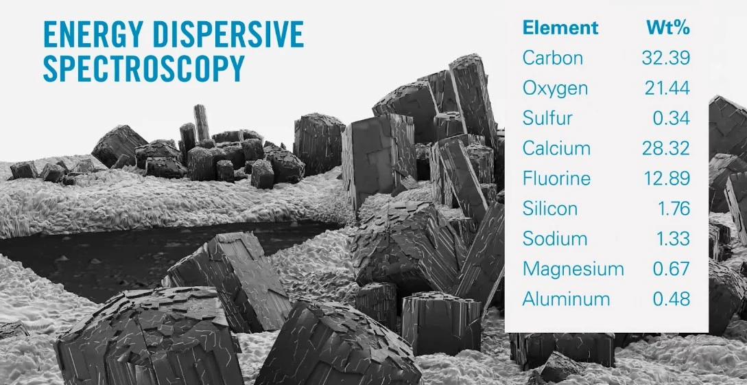 Comprehensive Fouling Inspection